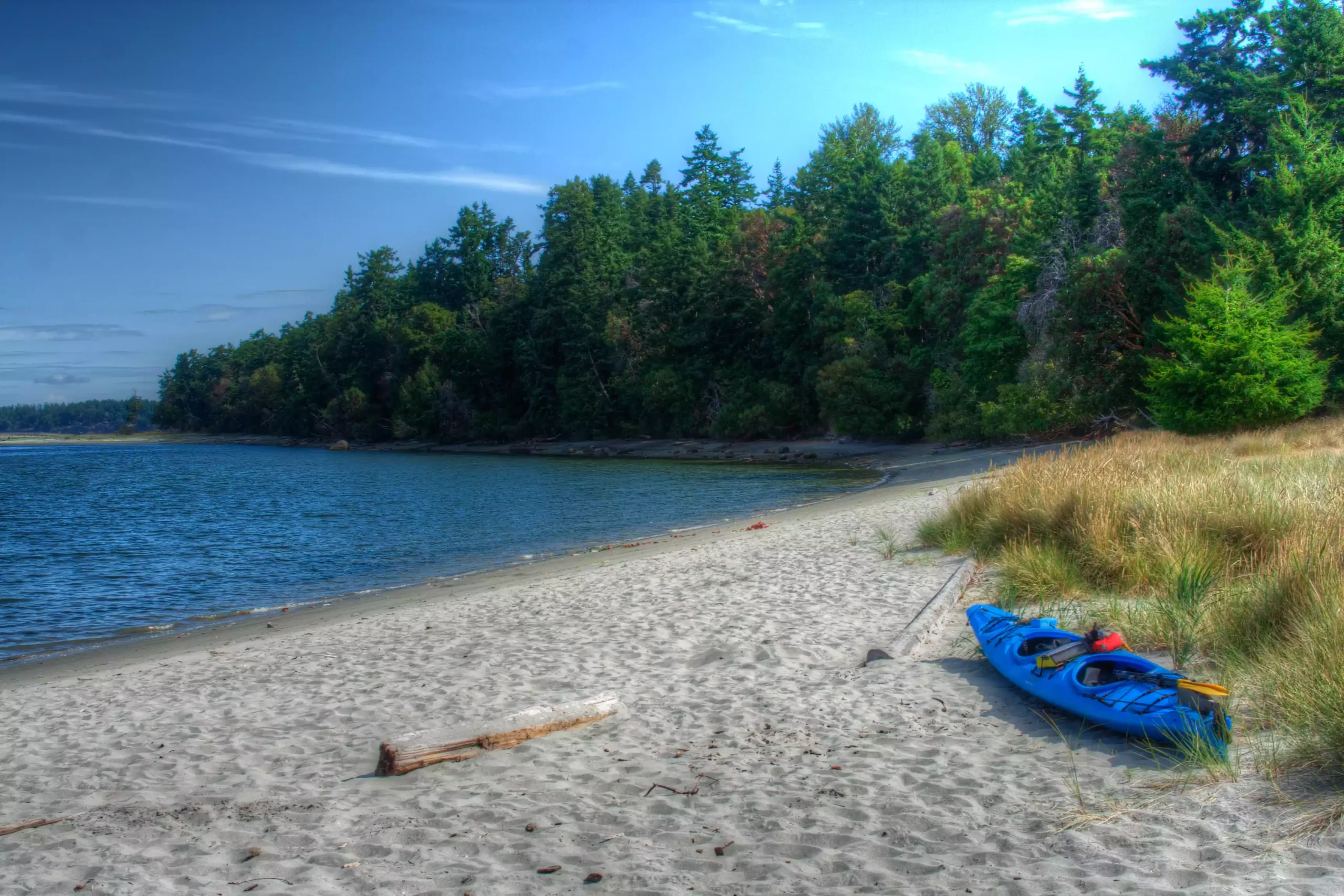 Contact - Coastal Douglas-fir Conservation Partnership